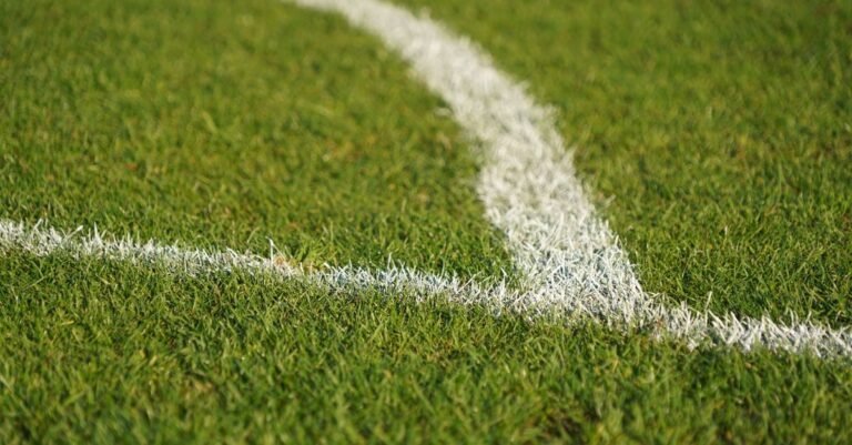 Detailed close-up of a white line on green grass, perfect for sports and nature themes.
